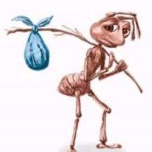 Meet your Posher, Filberto